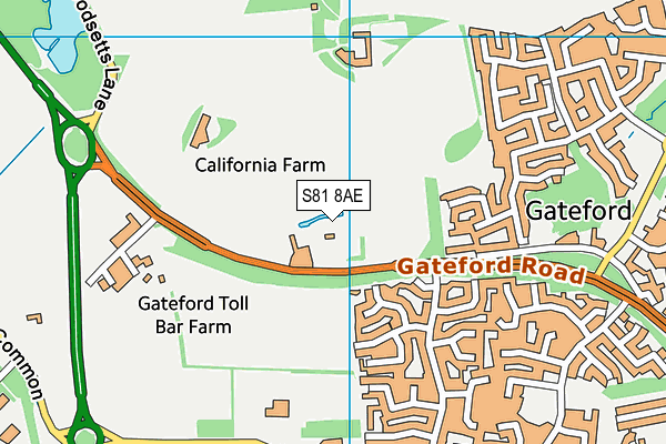 S81 8AE map - OS VectorMap District (Ordnance Survey)