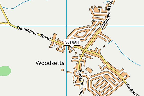 S81 8AH map - OS VectorMap District (Ordnance Survey)