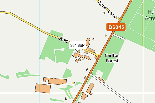 S81 8BP map - OS VectorMap District (Ordnance Survey)