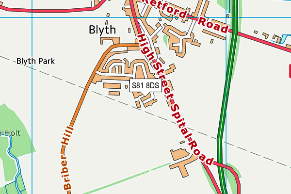 S81 8DS map - OS VectorMap District (Ordnance Survey)