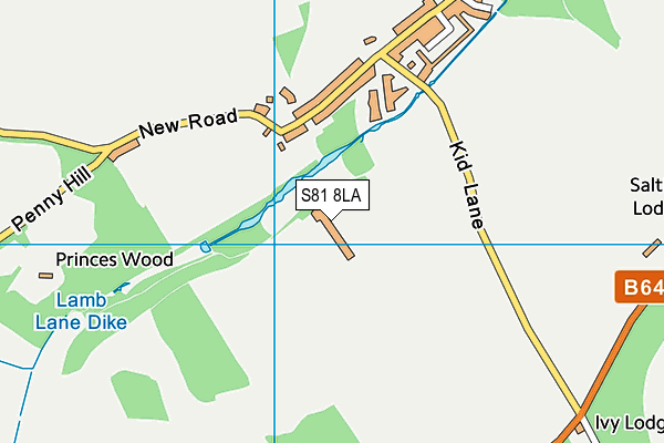 S81 8LA map - OS VectorMap District (Ordnance Survey)