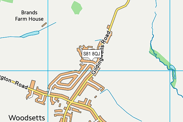 S81 8QJ map - OS VectorMap District (Ordnance Survey)