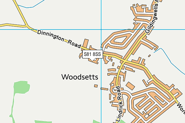 S81 8SS map - OS VectorMap District (Ordnance Survey)