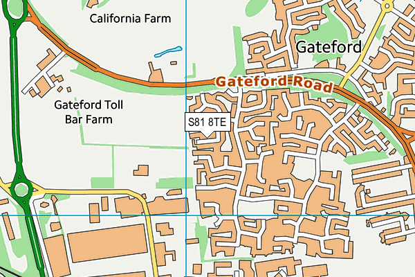 S81 8TE map - OS VectorMap District (Ordnance Survey)