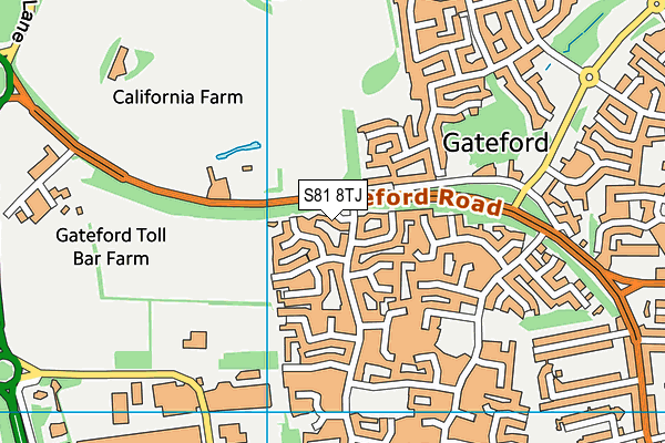 S81 8TJ map - OS VectorMap District (Ordnance Survey)