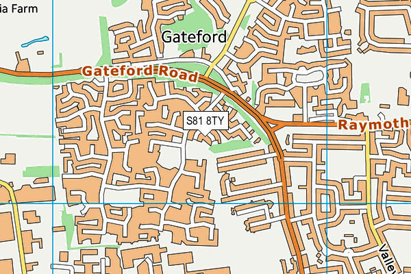 S81 8TY map - OS VectorMap District (Ordnance Survey)