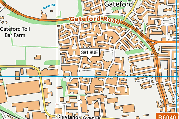 S81 8UE map - OS VectorMap District (Ordnance Survey)