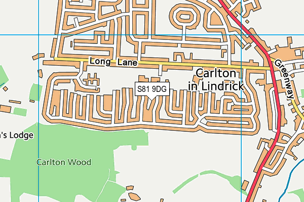 S81 9DG map - OS VectorMap District (Ordnance Survey)