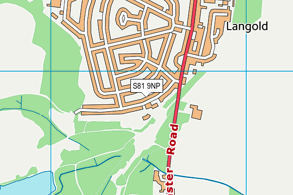 S81 9NP map - OS VectorMap District (Ordnance Survey)