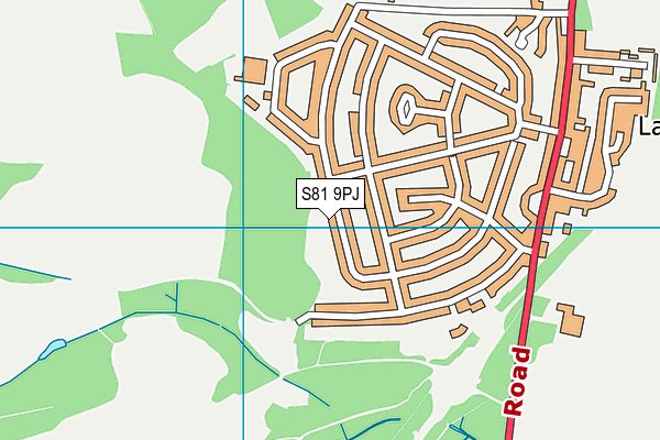 S81 9PJ map - OS VectorMap District (Ordnance Survey)