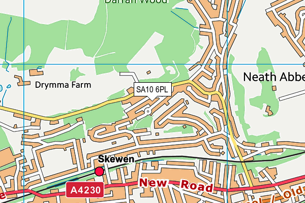 SA10 6PL map - OS VectorMap District (Ordnance Survey)