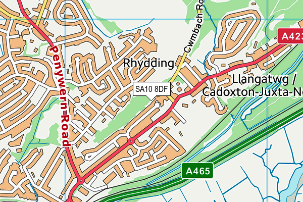 SA10 8DF map - OS VectorMap District (Ordnance Survey)