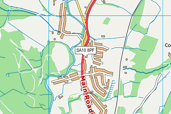 SA10 8PF map - OS VectorMap District (Ordnance Survey)