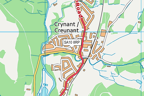 SA10 8RP map - OS VectorMap District (Ordnance Survey)