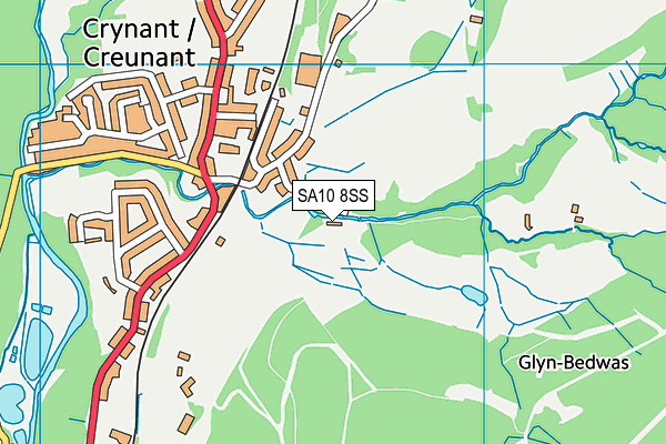 SA10 8SS map - OS VectorMap District (Ordnance Survey)