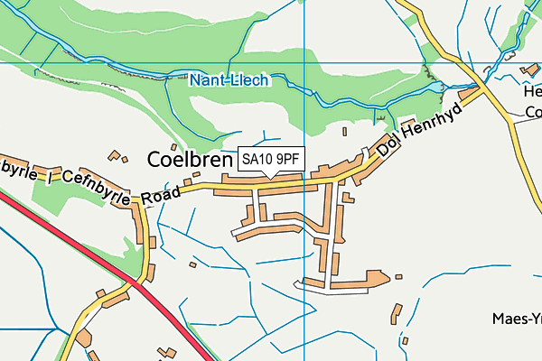 SA10 9PF map - OS VectorMap District (Ordnance Survey)