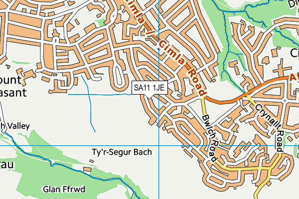 SA11 1JE map - OS VectorMap District (Ordnance Survey)