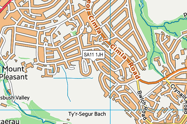 SA11 1JH map - OS VectorMap District (Ordnance Survey)