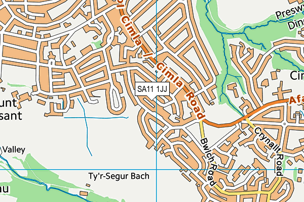 SA11 1JJ map - OS VectorMap District (Ordnance Survey)