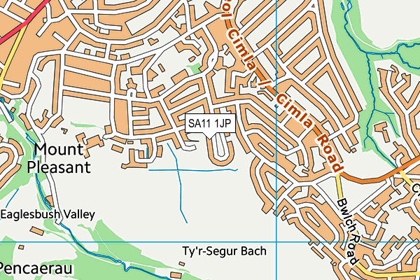 SA11 1JP map - OS VectorMap District (Ordnance Survey)