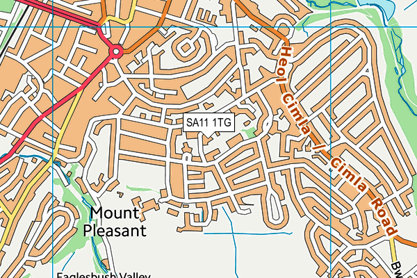 SA11 1TG map - OS VectorMap District (Ordnance Survey)
