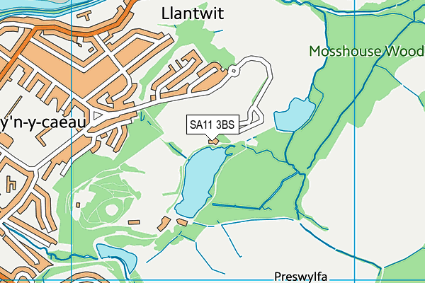 SA11 3BS map - OS VectorMap District (Ordnance Survey)