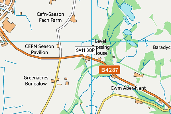 SA11 3QP map - OS VectorMap District (Ordnance Survey)