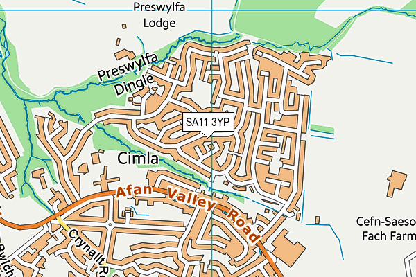 SA11 3YP map - OS VectorMap District (Ordnance Survey)