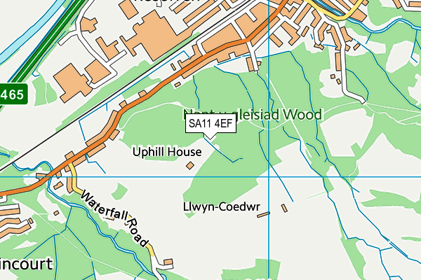 SA11 4EF map - OS VectorMap District (Ordnance Survey)