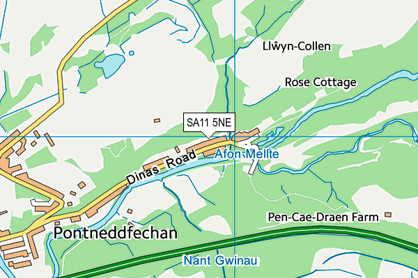 SA11 5NE map - OS VectorMap District (Ordnance Survey)