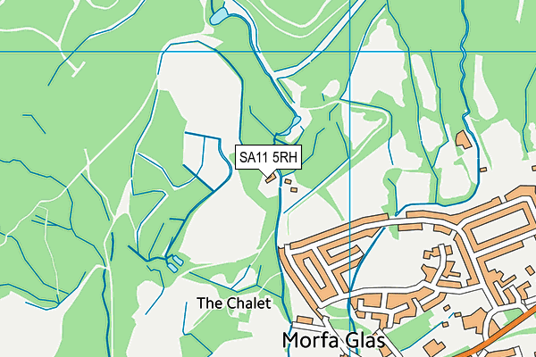 SA11 5RH map - OS VectorMap District (Ordnance Survey)