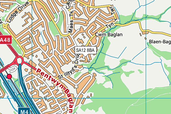 SA12 8BA map - OS VectorMap District (Ordnance Survey)