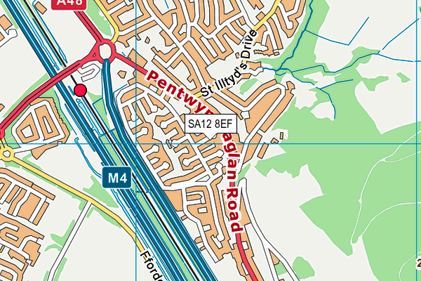 SA12 8EF map - OS VectorMap District (Ordnance Survey)