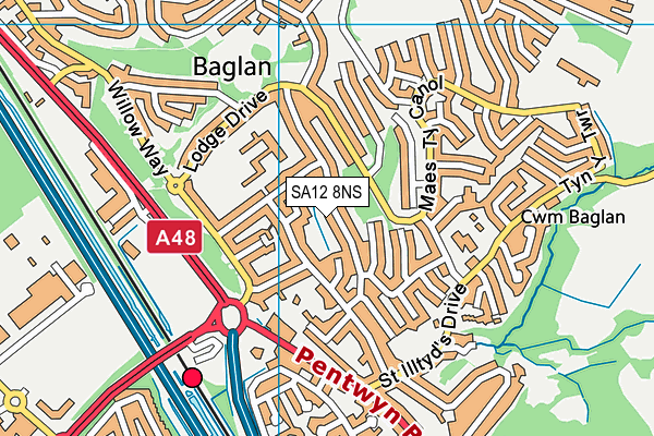 SA12 8NS map - OS VectorMap District (Ordnance Survey)