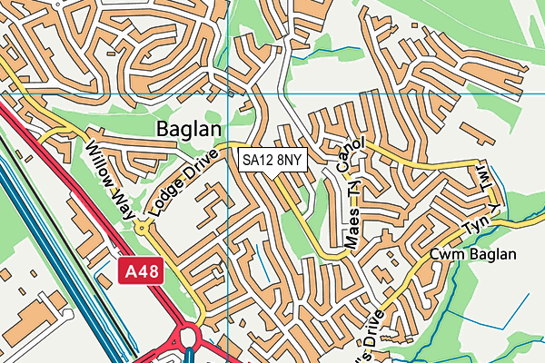 SA12 8NY map - OS VectorMap District (Ordnance Survey)