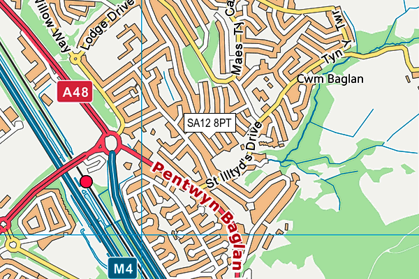 SA12 8PT map - OS VectorMap District (Ordnance Survey)