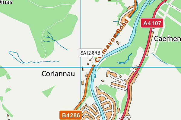 SA12 8RB map - OS VectorMap District (Ordnance Survey)