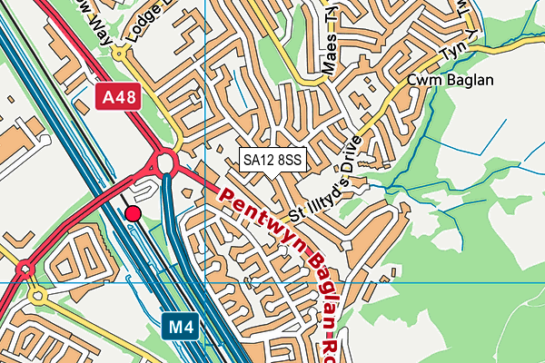 SA12 8SS map - OS VectorMap District (Ordnance Survey)