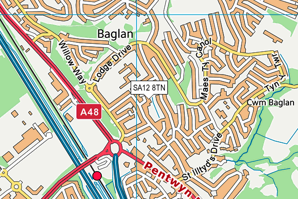 SA12 8TN map - OS VectorMap District (Ordnance Survey)