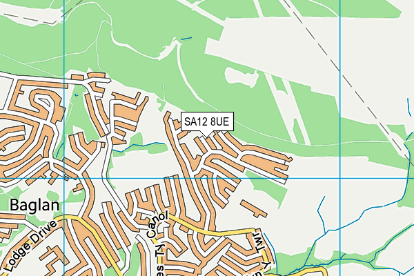 SA12 8UE map - OS VectorMap District (Ordnance Survey)