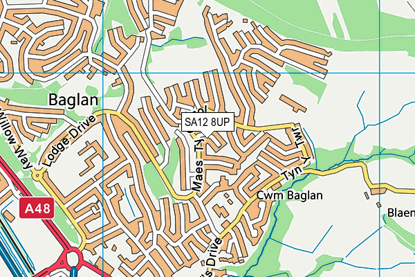 SA12 8UP map - OS VectorMap District (Ordnance Survey)