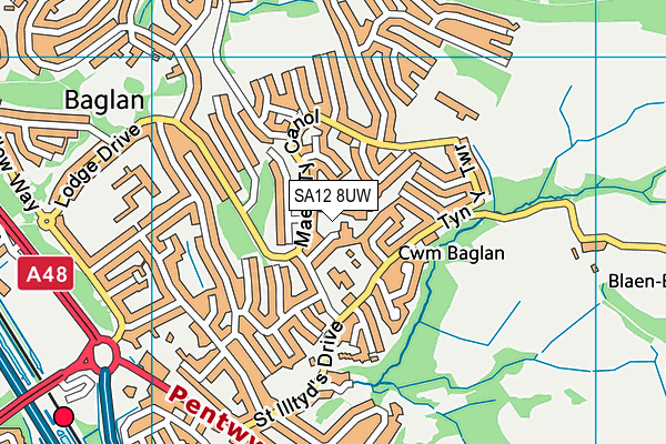 SA12 8UW map - OS VectorMap District (Ordnance Survey)