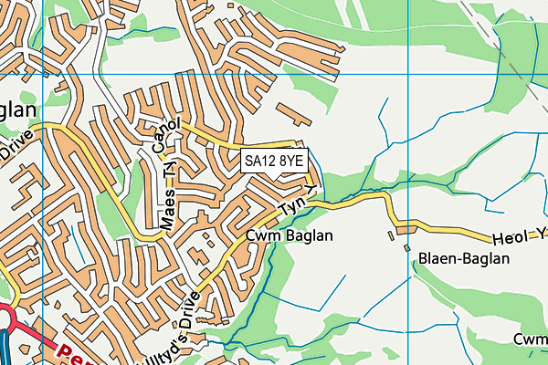 SA12 8YE map - OS VectorMap District (Ordnance Survey)