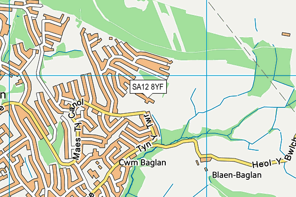 Blaenbaglan Primary School map (SA12 8YF) - OS VectorMap District (Ordnance Survey)