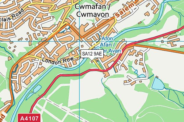 SA12 9AE map - OS VectorMap District (Ordnance Survey)