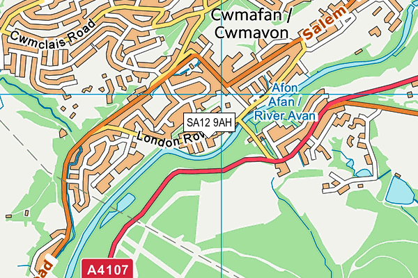 SA12 9AH map - OS VectorMap District (Ordnance Survey)