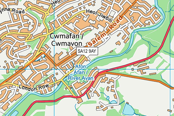 SA12 9AY map - OS VectorMap District (Ordnance Survey)