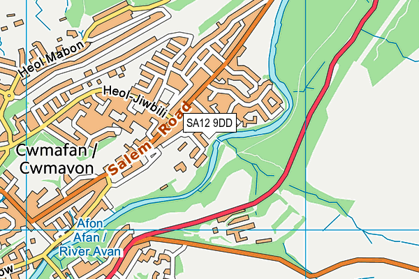 SA12 9DD map - OS VectorMap District (Ordnance Survey)