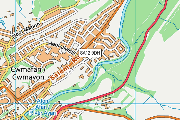 SA12 9DH map - OS VectorMap District (Ordnance Survey)