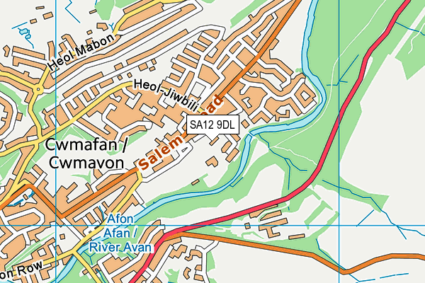 SA12 9DL map - OS VectorMap District (Ordnance Survey)